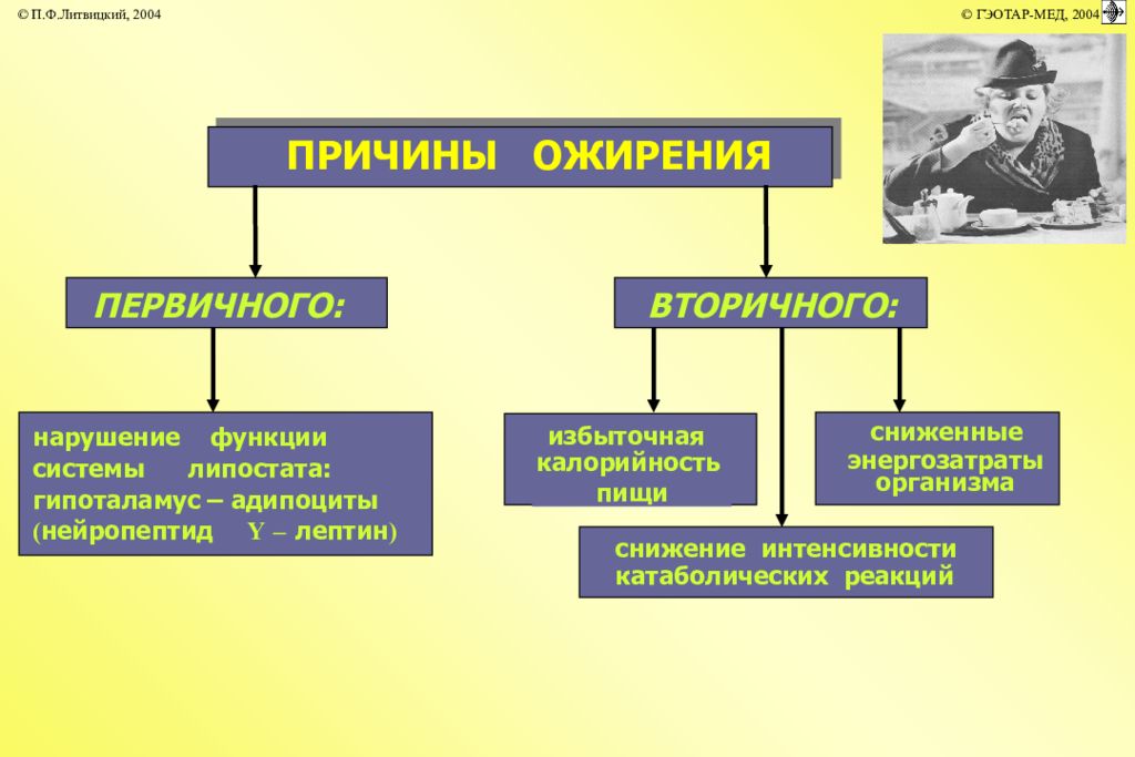 Ожирение причины. Причины первичного и вторичного ожирения. Причины первичного ожирен. Причины ожирения. Механизм развития ожирения.