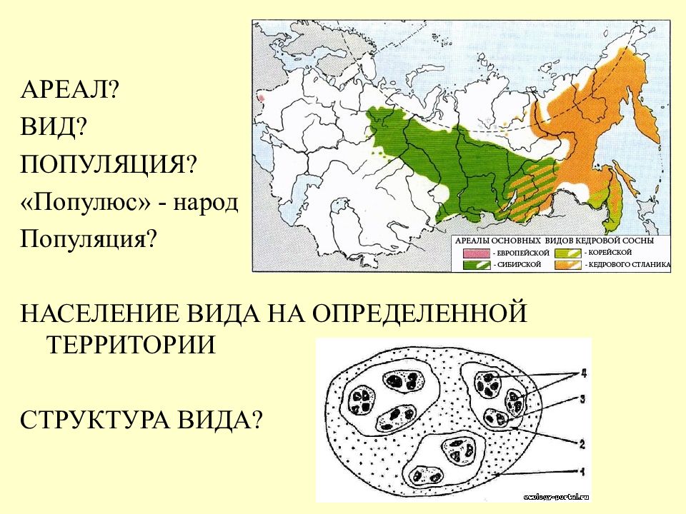 Ареалы высокой и низкой плотности