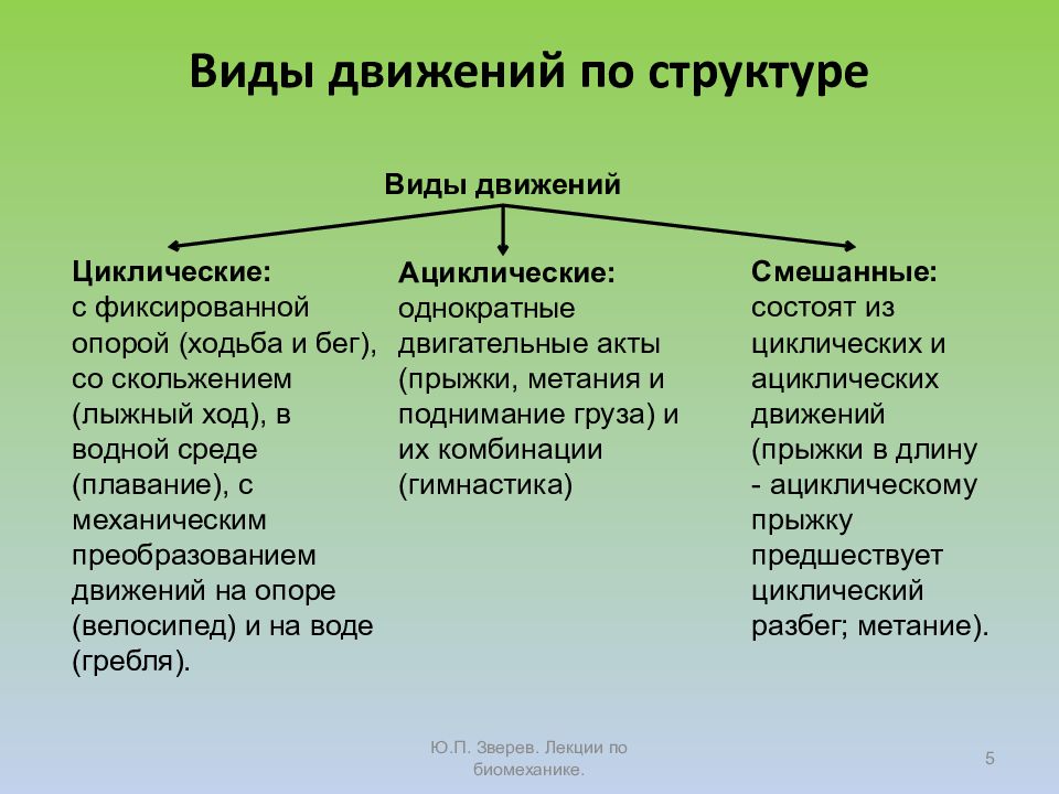 Циклические виды