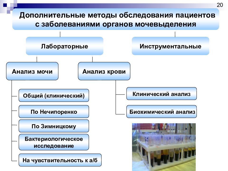 Методы исследования органа. Методы исследования мочевыделительной системы. Методы исследования при патологии мочевыделительной системы. Методы исследования при заболеваниях органов мочевыделения. Методы исследования пациентов с заболеваниями органов мочеотделения.