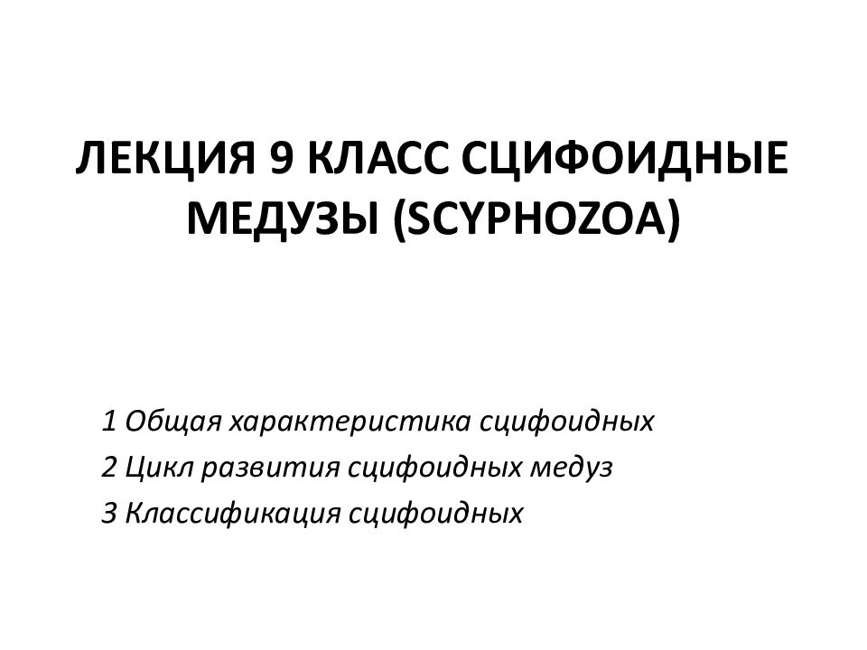 ЛЕКЦИЯ 9 КЛАСС СЦИФОИДНЫЕ МЕДУЗЫ (SCYPHOZOA)