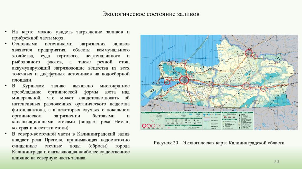 Климат калининградской области презентация