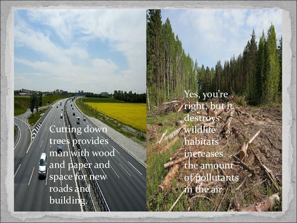 We must stop cutting down trees. Environmental Issues презентация. Environmental Issues перевод. Find New Roads перевод.