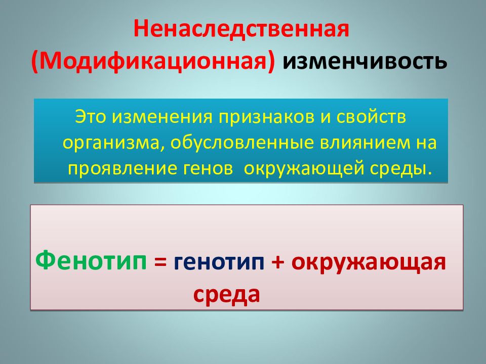 Ненаследственная изменчивость примеры картинки