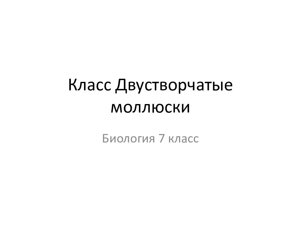 Класс Двустворчатые моллюски