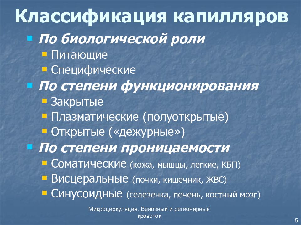 В составе стенки капилляра соматического типа определяются