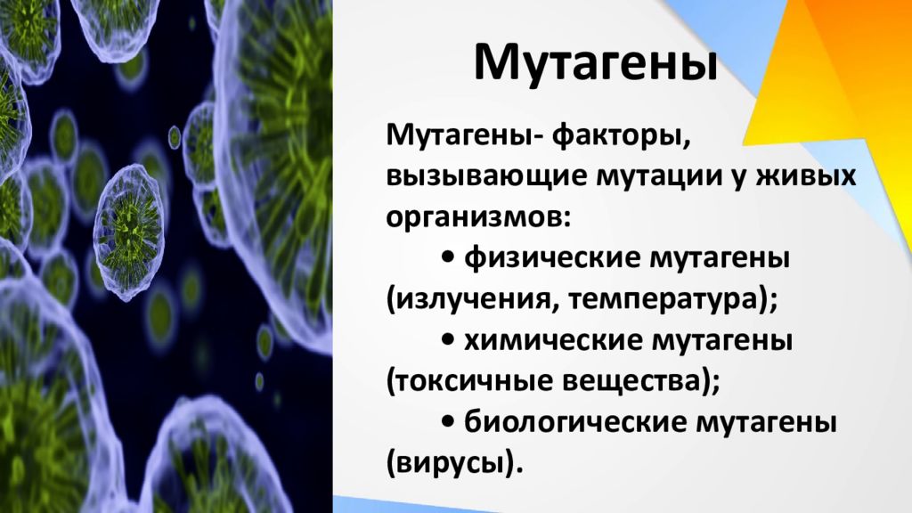 Влияние наркогенных веществ на процессы в клетке презентация