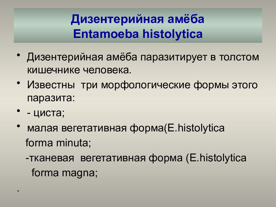 Медицинская протозоология презентация