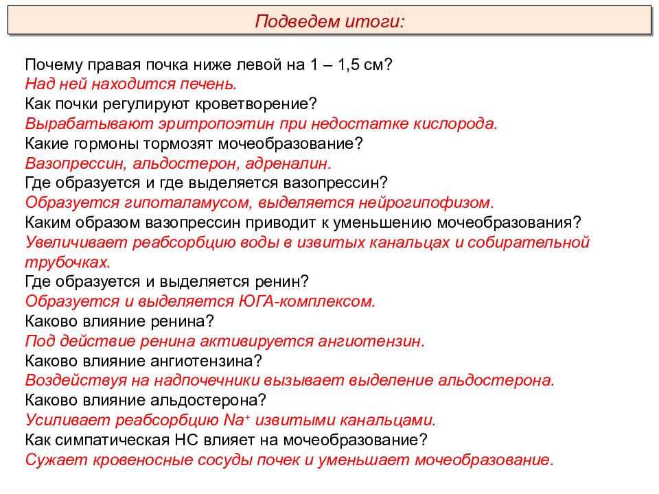 Презентация выделительная система пименов