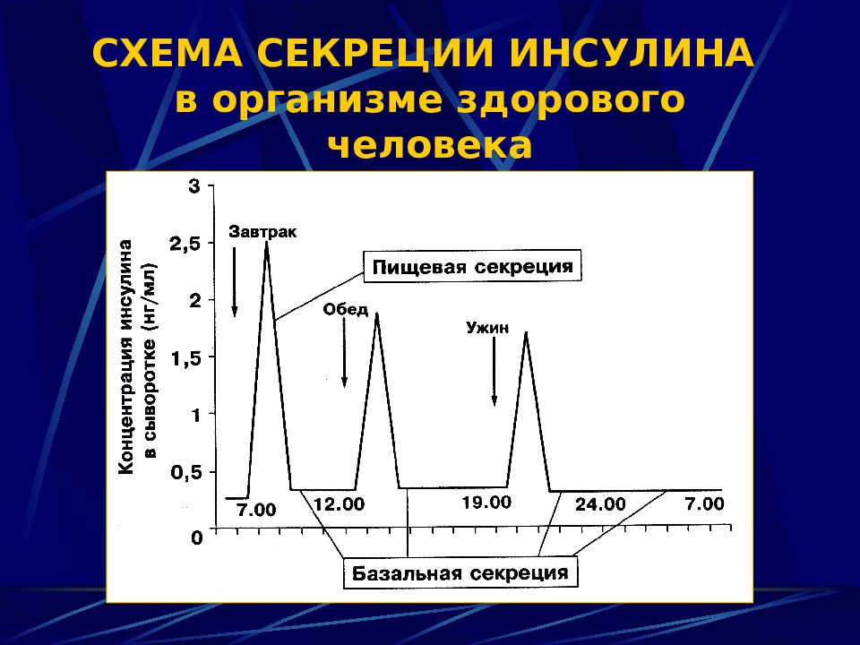 Организм показанный на рисунке стал основой для промышленного получения спирта инсулина