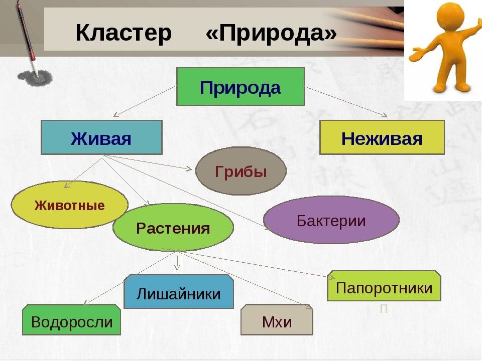 Кластером 5. Кластер на тему природа. Кластер Живая природа. Кластер человек и природа. Кластер по теме растения.