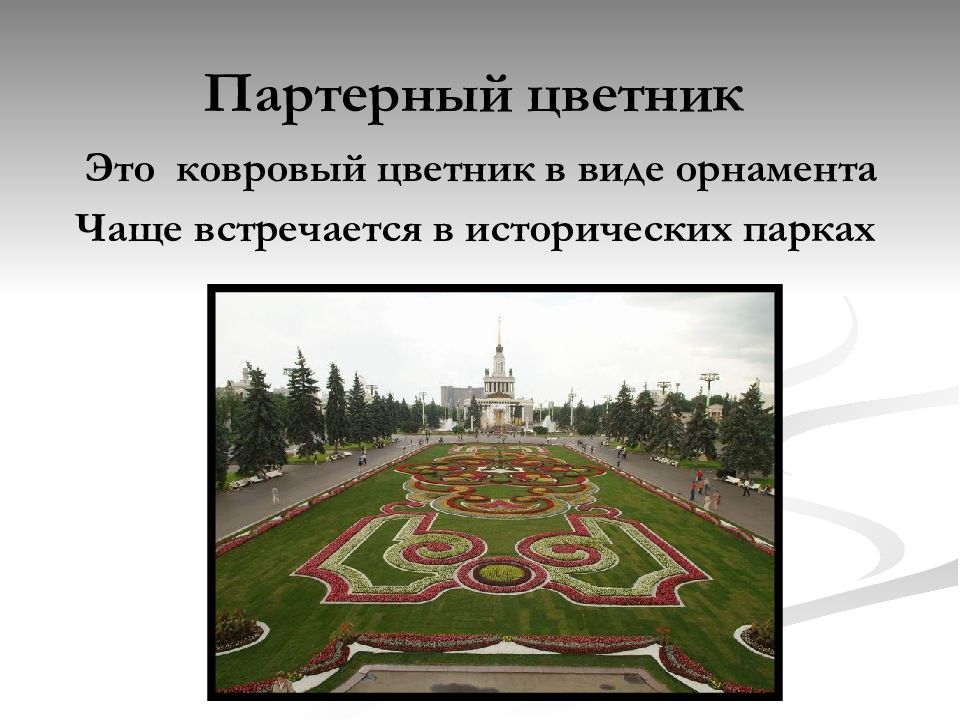 Партерный цветник эскиз