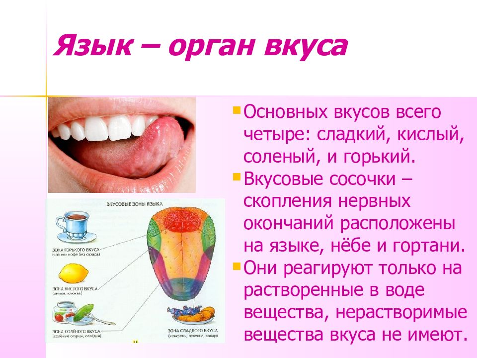 Картинка вкусовая информация