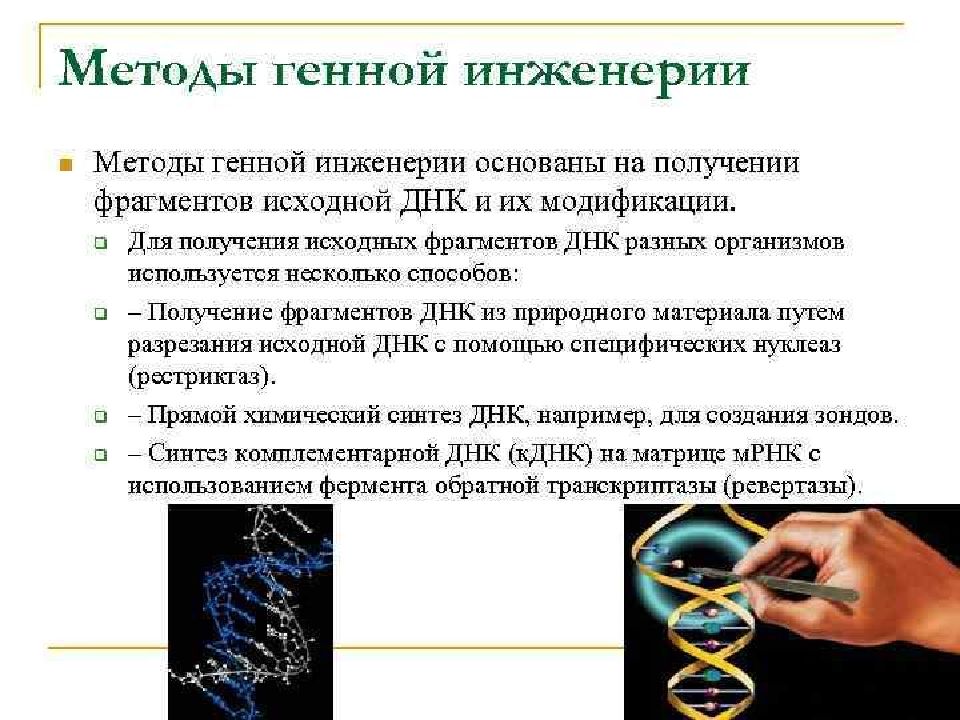 Новые методы генной инженерии. Методы генной инженерии. Метод генной инженерии. Описания методов генной инженерии. Метод генетической инженерии.