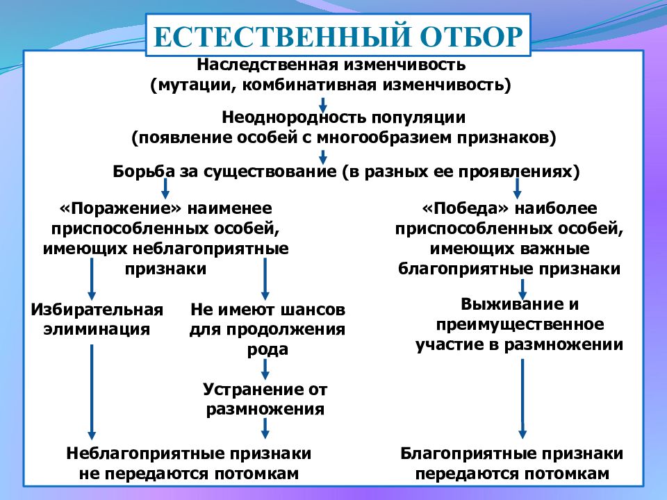 Естественный отбор презентация 11 класс по биологии