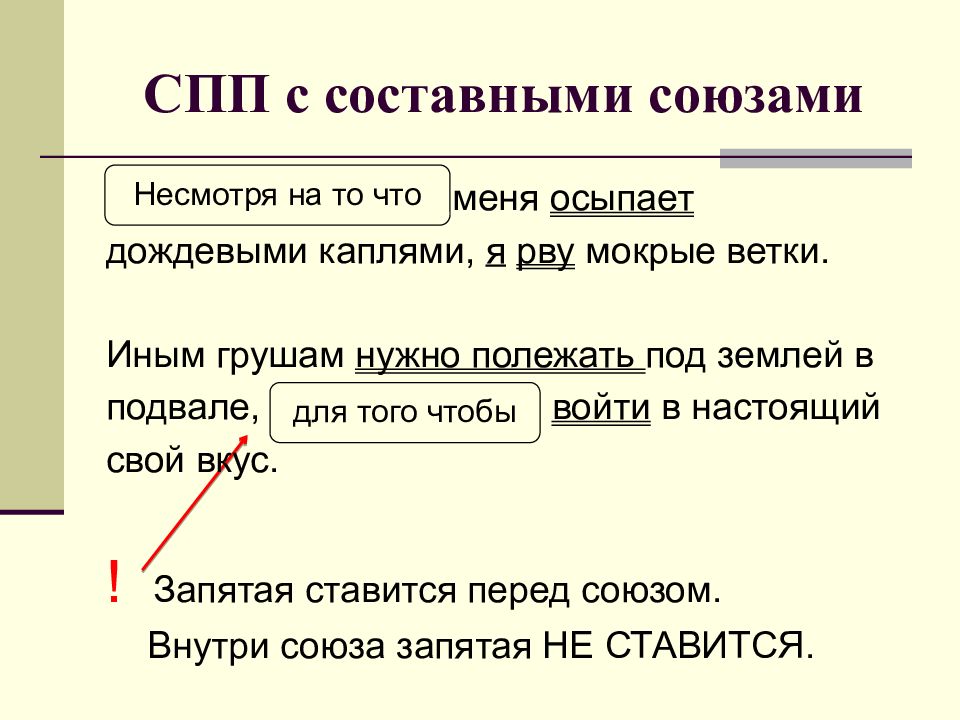 Несмотря на в простом предложении. Несмотря на то что. несмотря на то что запятая. сложноподчиненное предложение примеры с союзом. не смотря на то что запчтая.
