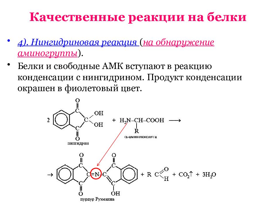 Реакция распознавания. Реакция нингидриновая реакция. Метионин с нингидрином реакция. Аминокислота нингидрин реакция. Реакция с нингидрином на аминокислоты.