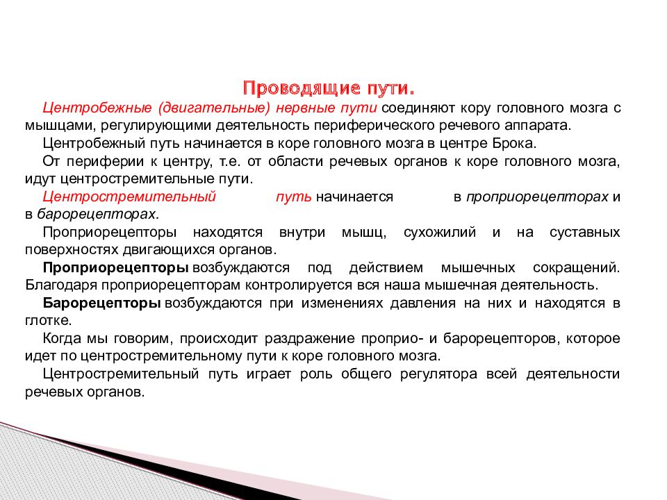 Нервные пути. Центробежные двигательные нервные пути. Проводящие пути речевого аппарата. Центробежные пути. Центробежные пути речи.