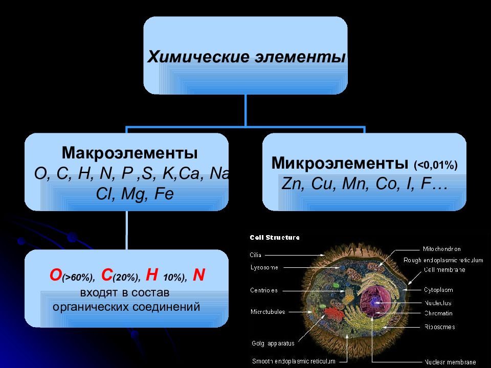 Биологические элементы примеры. Химический состав клетки макроэлементы. Химический состав клетки схема химические элементы вещества. Химические элементы макроэлементов клетка. Макроэлементы 2) микроэлементы 3) ультрамикроэлементы.