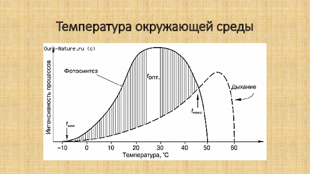 Окружающая температура. Температура окружающей среды. Влияние температуры на фотосинтез. Влияние температуры на интенсивность фотосинтеза. Влияние температуры на окружающую среду.