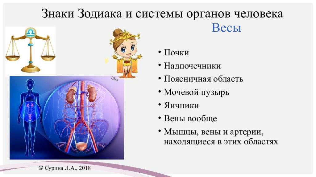 Масса органов человека. Символы систем и органов человека. Знаки зодиака и органы человека. Система органов знаки зодиака. Планеты и органы человека.