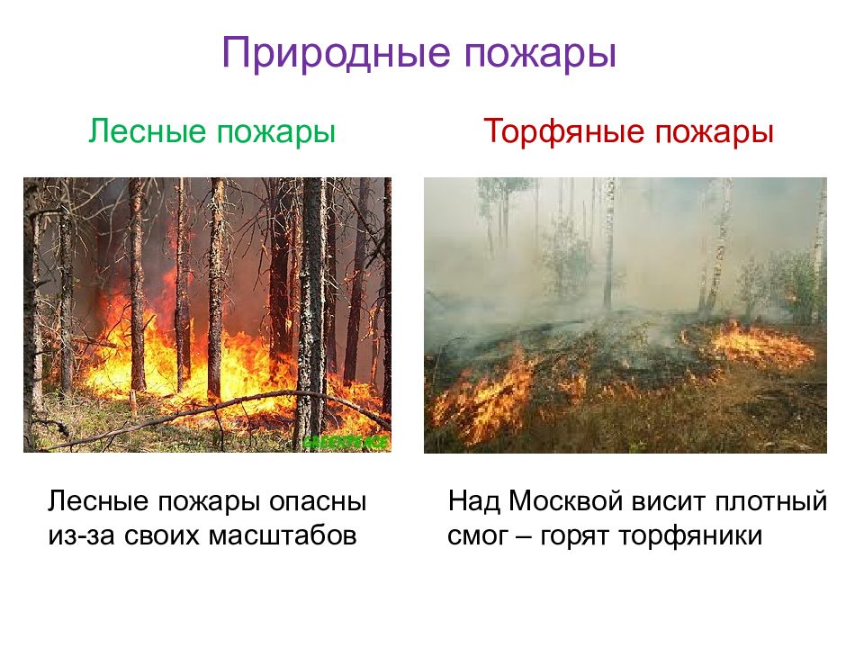 Природный пожар определение. Природные пожары Лесные и торфяные. ЧС природного характера Лесные и торфяные пожары. Последствия торфяных пожаров. Природные пожары презентация.