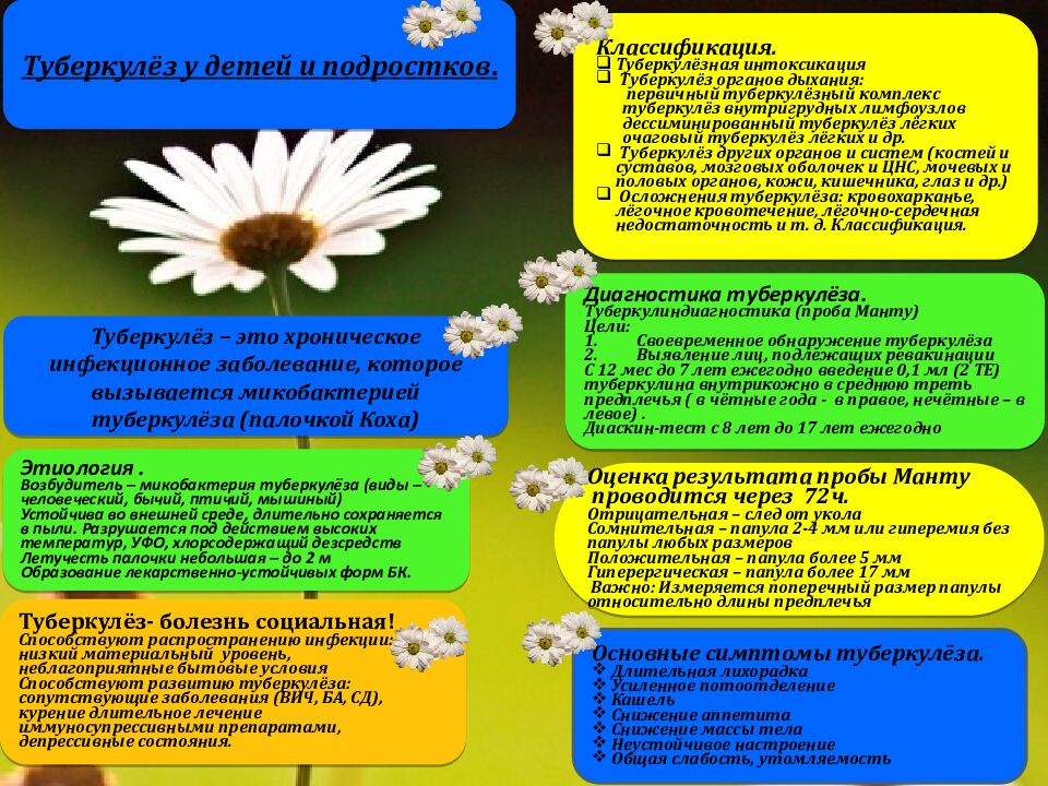 Вираж туберкулиновых проб – это впервые выявленная положительная реакция Манту