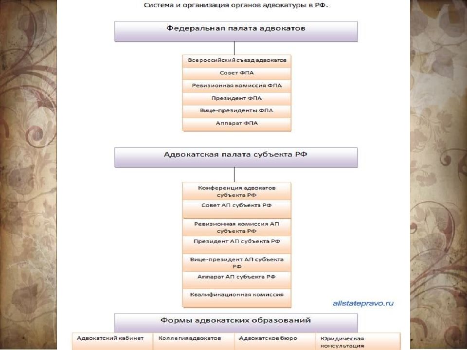 Система адвокатуры схема