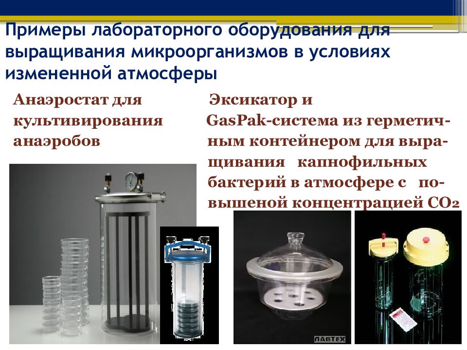 Культивирования микроорганизмов презентация