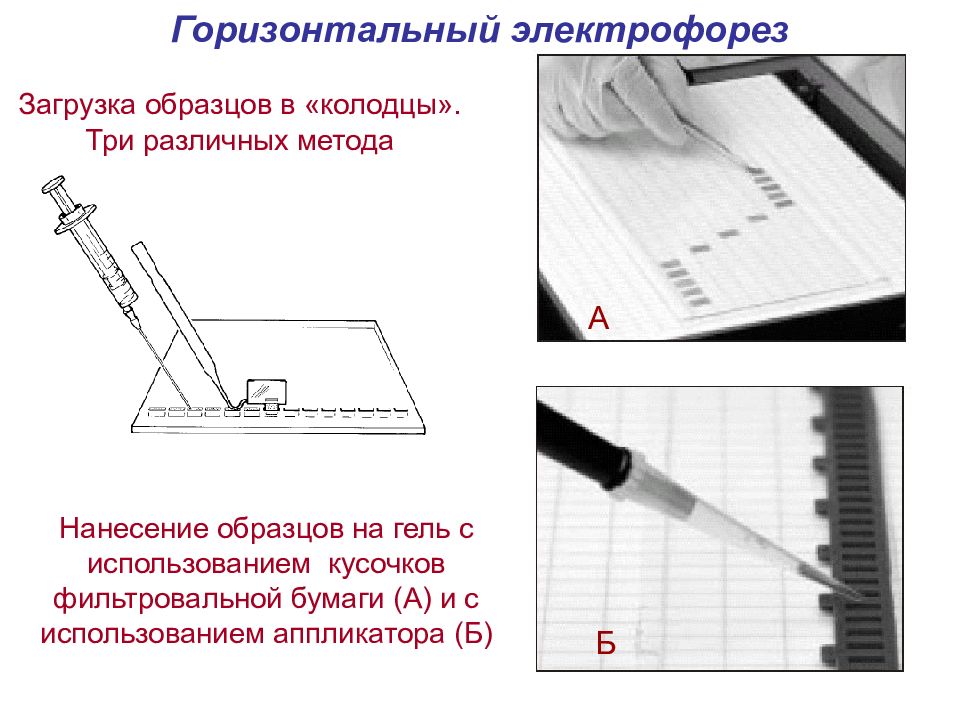 Горизонтальный метод. Горизонтальный электрофорез. Ручака образец для нанесения. Б горизонтальное считается.