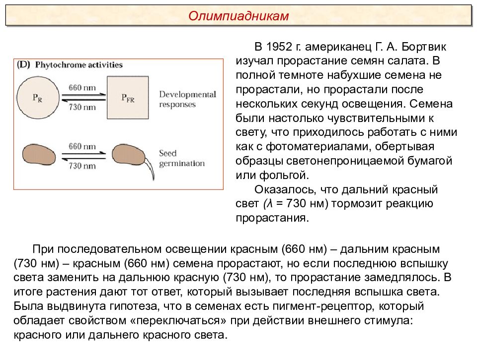 Пименов экология презентация