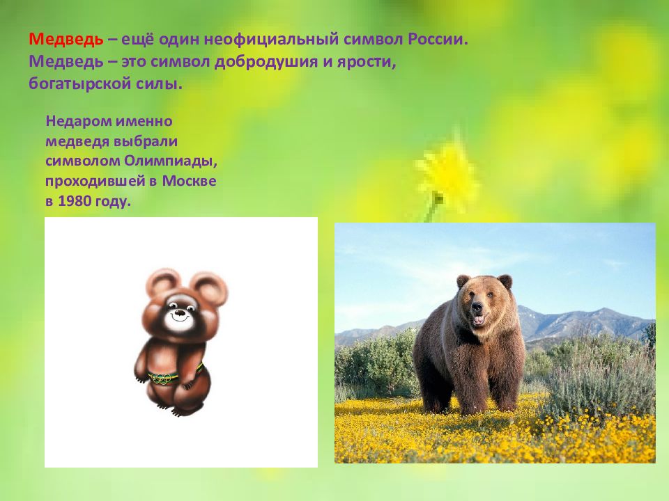 Неофициальный символ россии медведь. Медведь символ России. Неофициальные символы России медведь. Символы России для детей медведь. Неофициальные символы России медведь для детей.