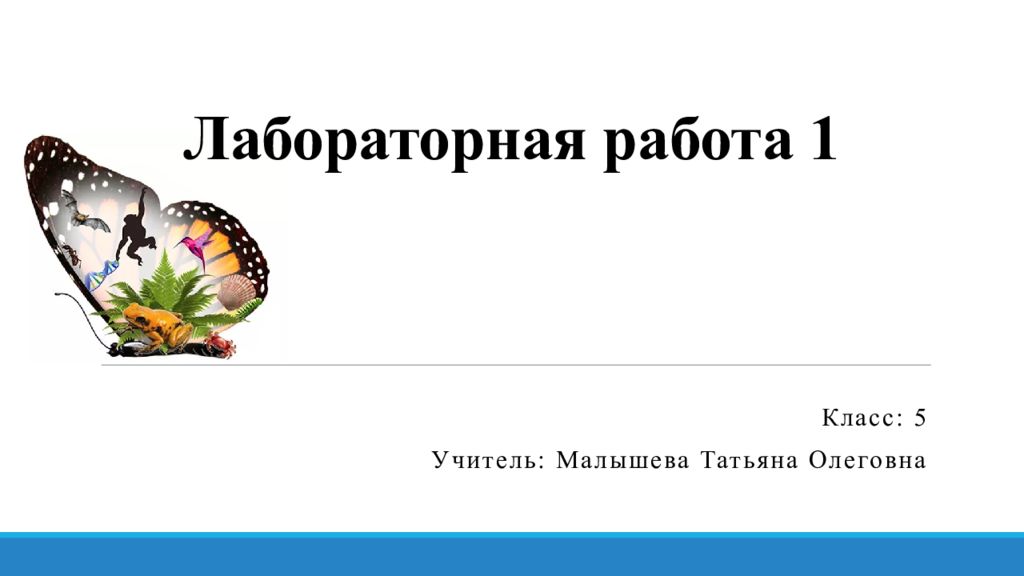 Во время лабораторной работы вовочка собрал установку изображенную на рисунке 1