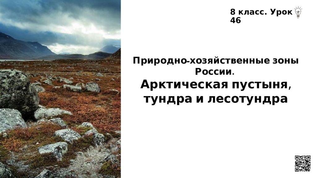 Природно-хозяйственные зоны России. Арктическая пустыня, тундра и лесотундра 8