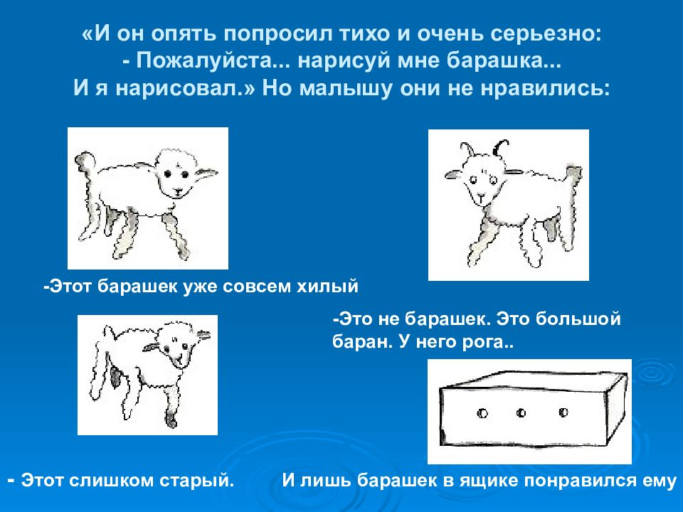 Почему маленький принц просит нарисовать намордник для барашка