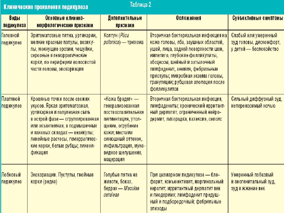 План обследования при чесотке