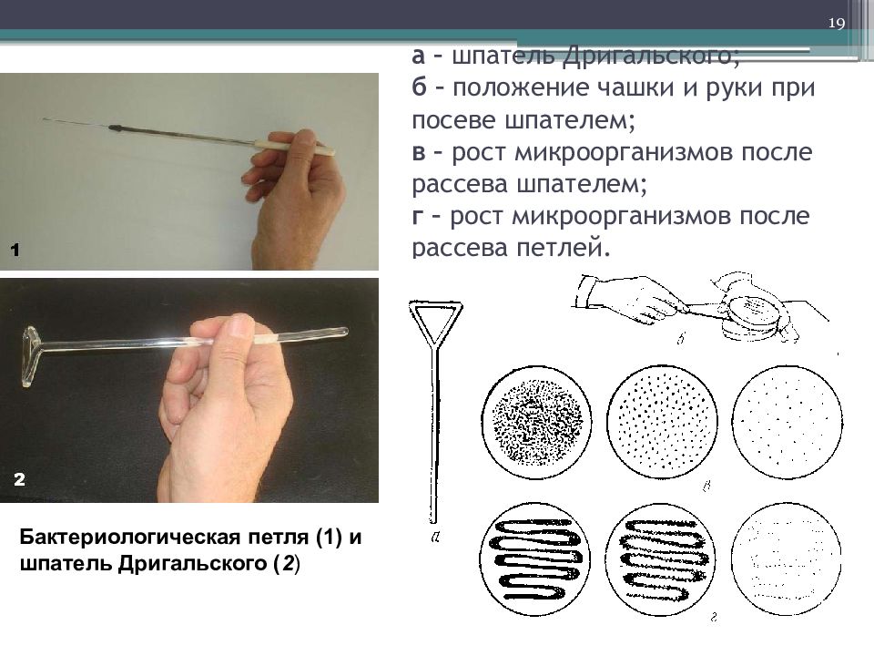 Начертите схему посева любой культуры и правильно наложенную рамку