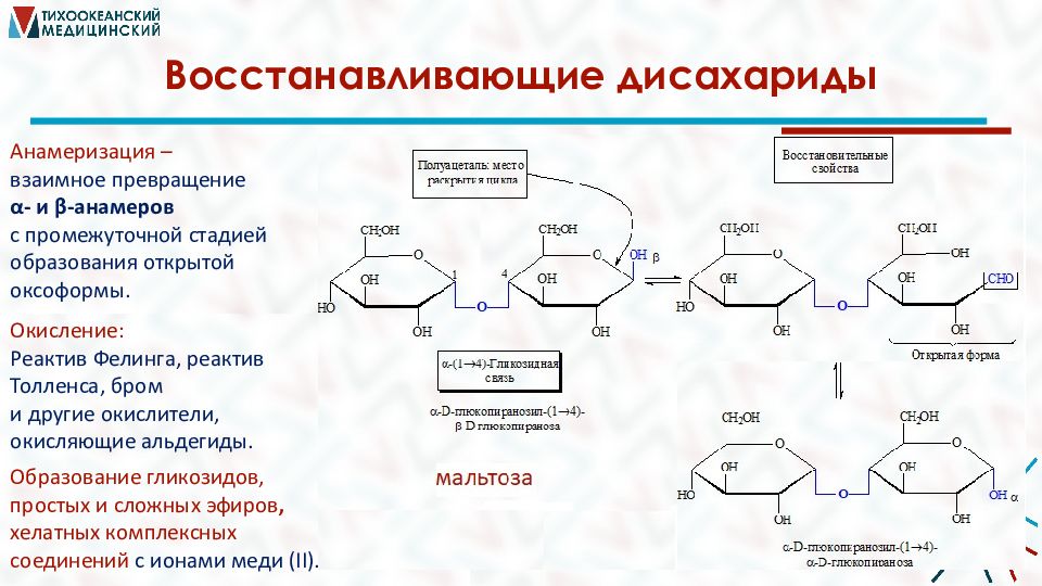 Углеводы моно и дисахариды презентация