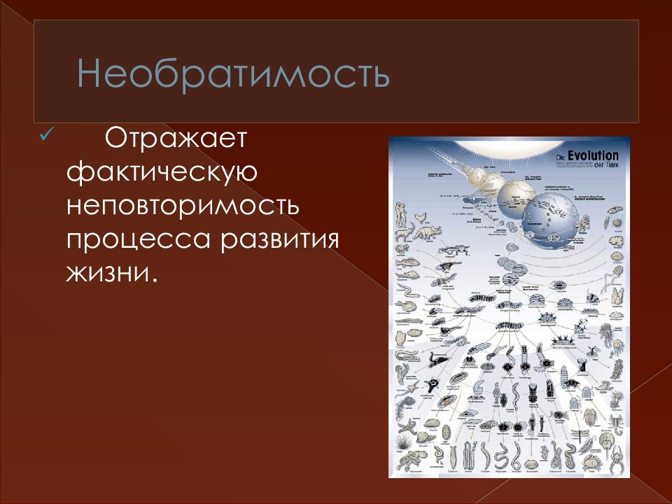 Биологическая эволюция. Необратимый характер эволюции. Основные закономерности в эволюции жизни. Эволюция презентация 9 класс. Необратимость эволюционного процесса.