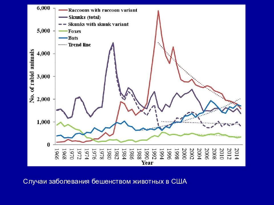 Бешенство эпидемиология презентация