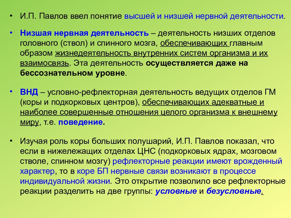 Понятие о высшей и низшей нервной деятельности. Понятие о высшей нервной деятельности. Афо нервной системы у детей.