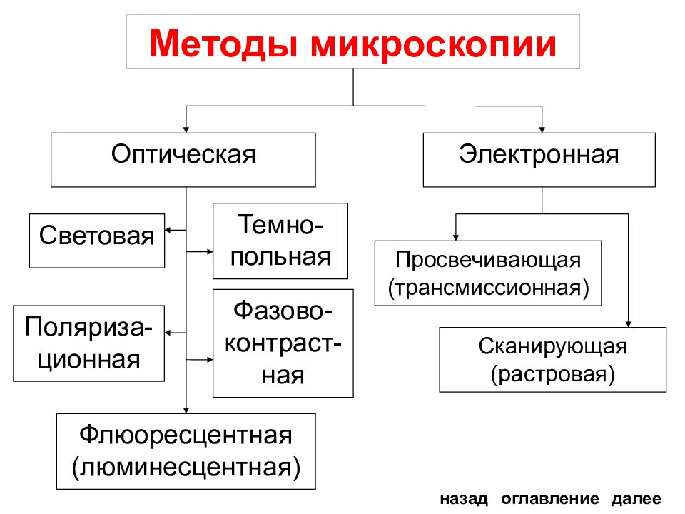 Применение метода микроскопии