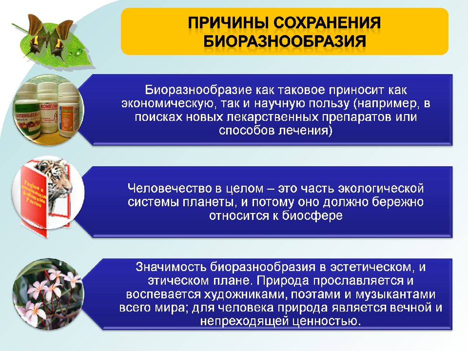 Сохранение биологического разнообразия