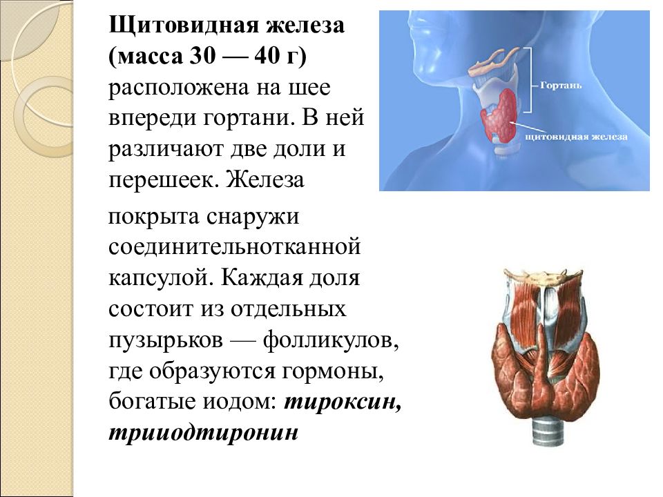 Образование массы