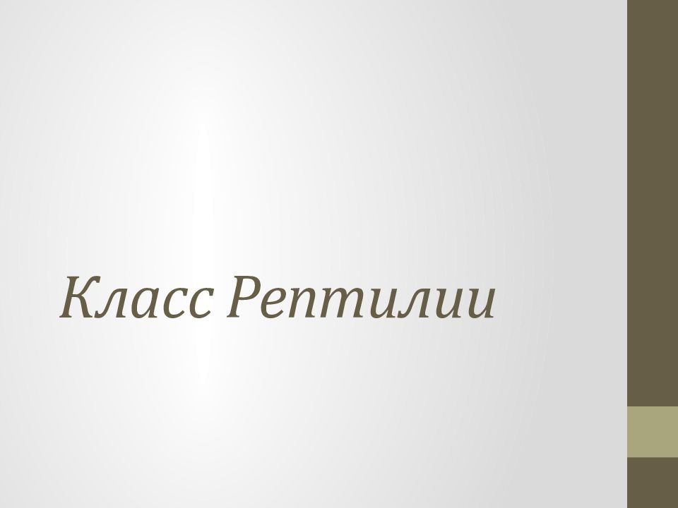 Класс Рептилии