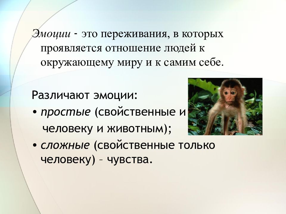 Презентация по биологии 8 класс воля и эмоции внимание