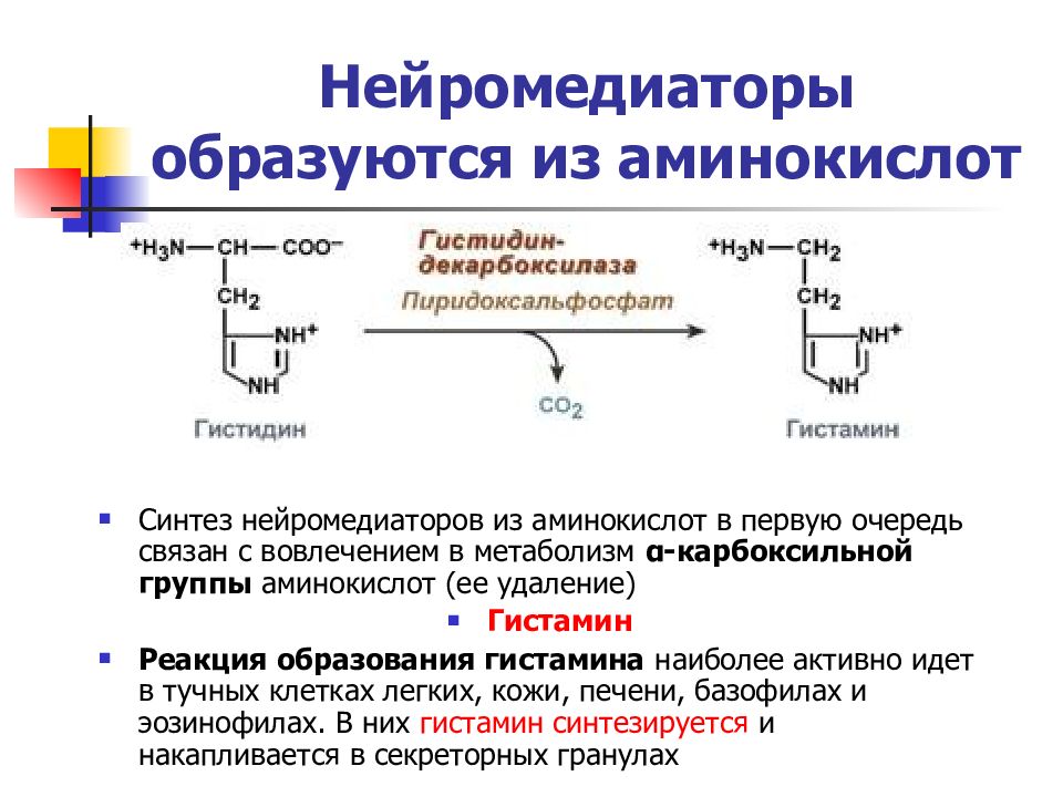 Синтез медиатора. Классификация нейромедиаторов биохимия. Производные тирозина нейромедиаторы. Нейромедиаторы биохимия таблица. Функции нейромедиаторов биохимия.