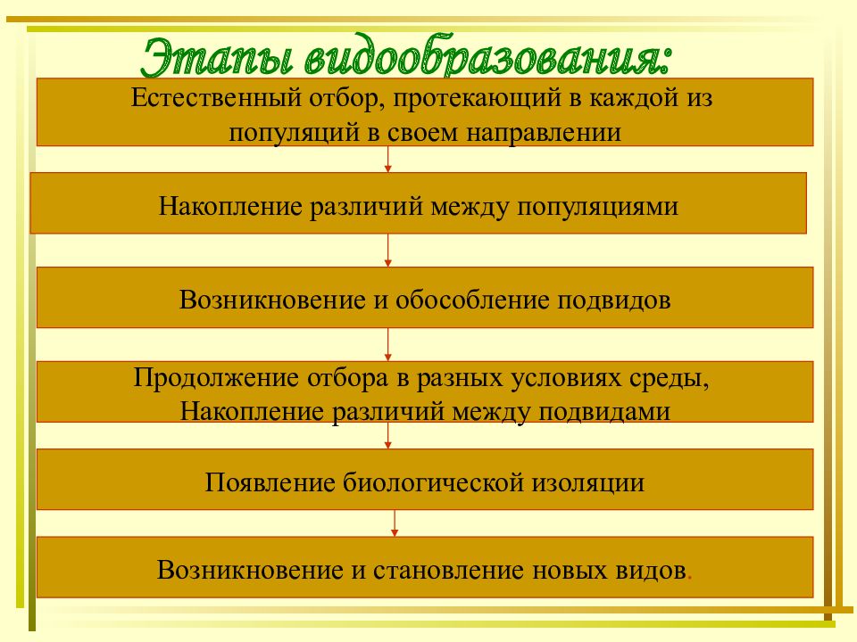 Видообразование в природе схема