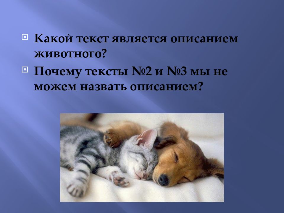 Текст описание животного 3 класс. План описания животного 5 класс. Описание презентации. Презентация текст описание.