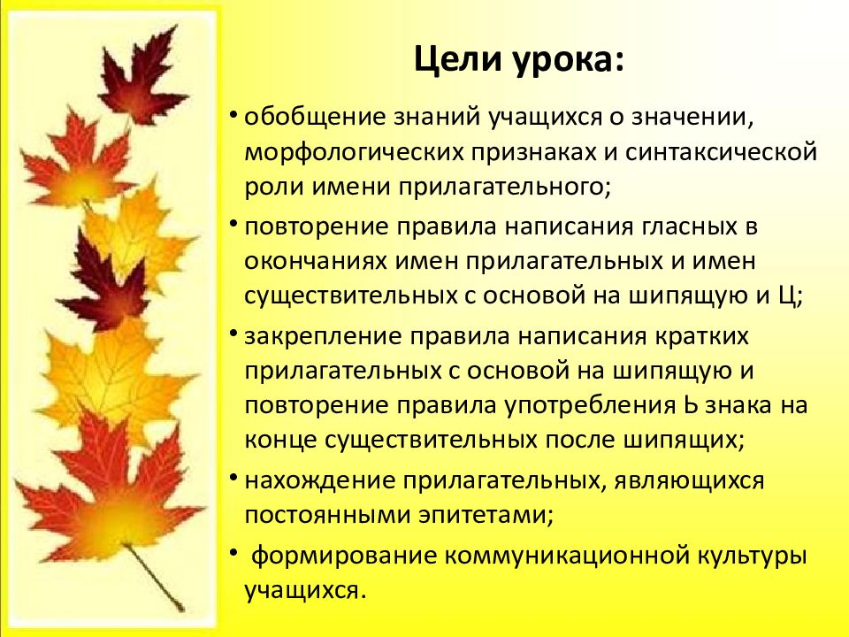 Имя прилагательное повторение изученного в 5 классе презентация